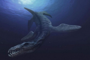 Naukowcy ulyanovsk zaczną przywracać pozostałości jaszczurki morskiej Naukowcy ulyanovsk zaczną przywracać pozostałości jaszczurki morskiej